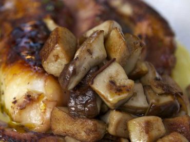 Thyme Octopus with rocket and mushrooms