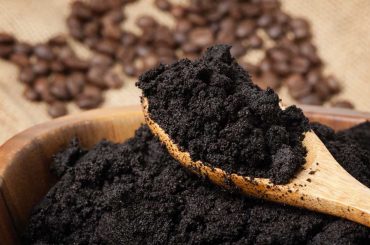 Revalorization of coffee by-products with prebiotic, antimicrobial and antioxidant potential