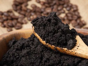 Revalorization of coffee by-products with prebiotic, antimicrobial and antioxidant potential