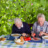 NutriKeto_Lab: Mediterranean Diet adherence may modify the aging process