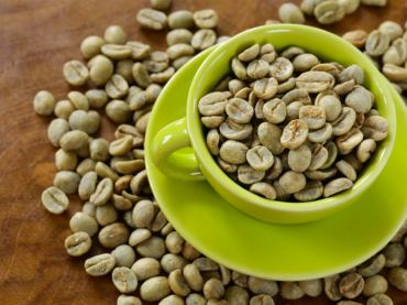Green coffee extract supplementation reduces metatabolic syndrome aetiological factors