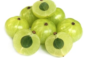 Amalaki the anti-diabetes plant from Ayurvedic medicine