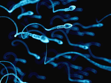 Ashwagandha (Withania somnifera) in the management of male infertility