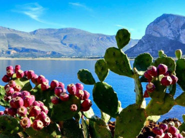 27th SILAE Congress: Focus on Phytotherapy and Nutrition