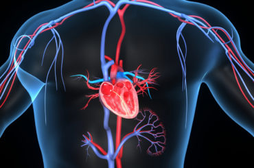 CORSO:  Terapie  Chetogeniche e Protocolli nelle Malattie Metaboliche e Cardiovascolari