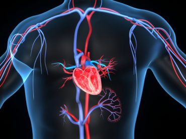 CORSO:  Terapie  Chetogeniche e Protocolli nelle Malattie Metaboliche e Cardiovascolari