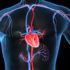 CORSO:  Terapie  Chetogeniche e Protocolli nelle Malattie Metaboliche e Cardiovascolari