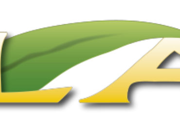 XXVIII SILAE  CONGRESS: PROGRAM